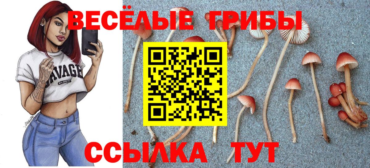 Бор  Галлюциногенные грибы мухоморы  Вход с VPN 